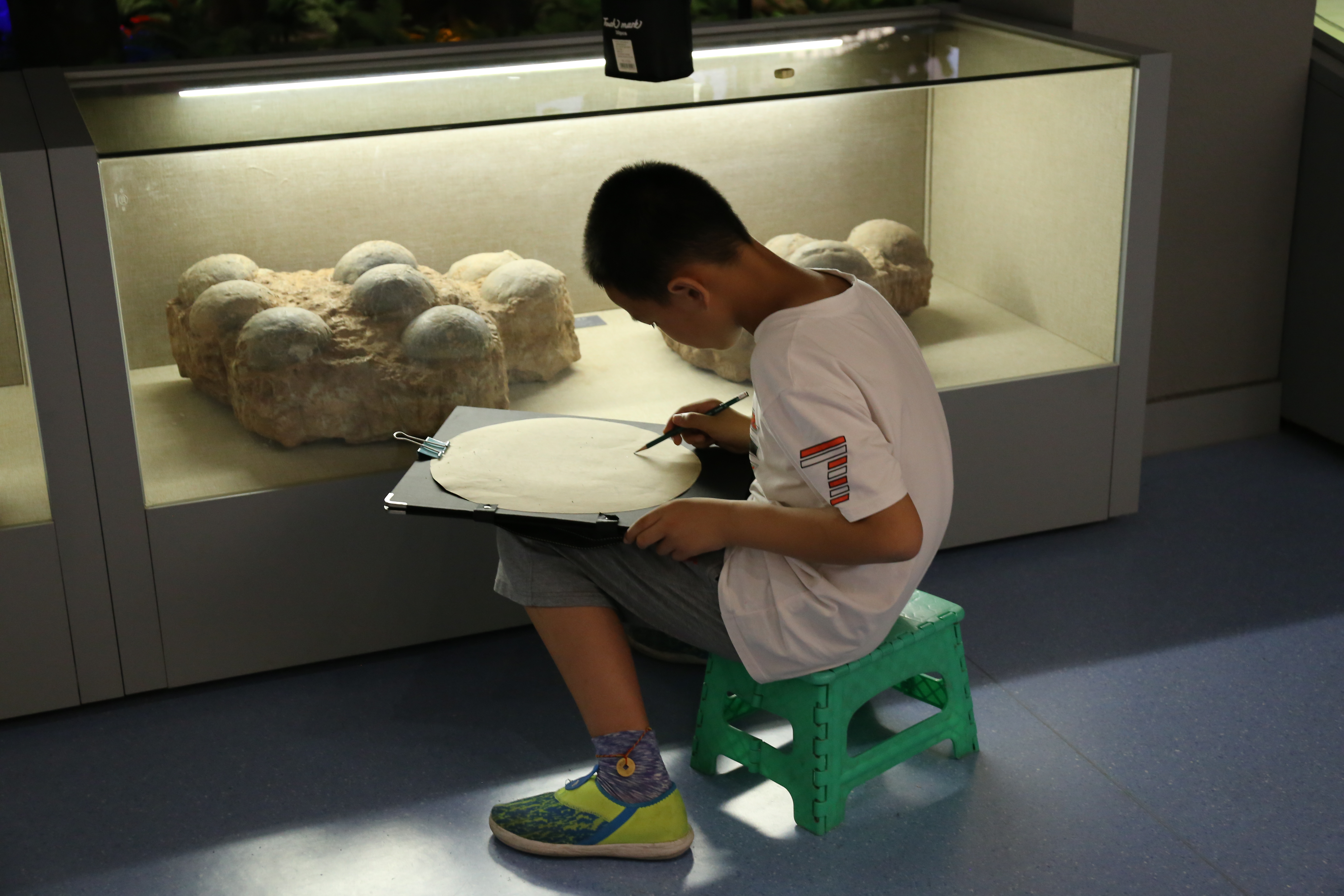 米卡尔国际教育同学在画恐龙蛋标本