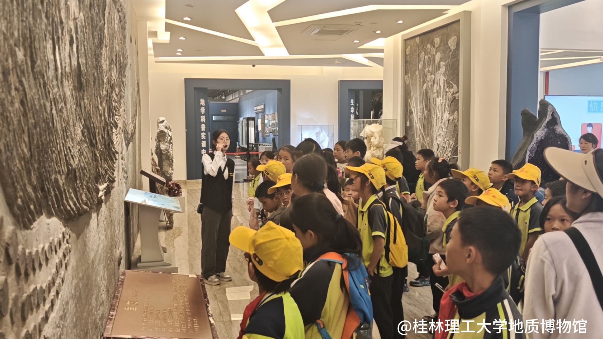 同学们参观鱼龙化石