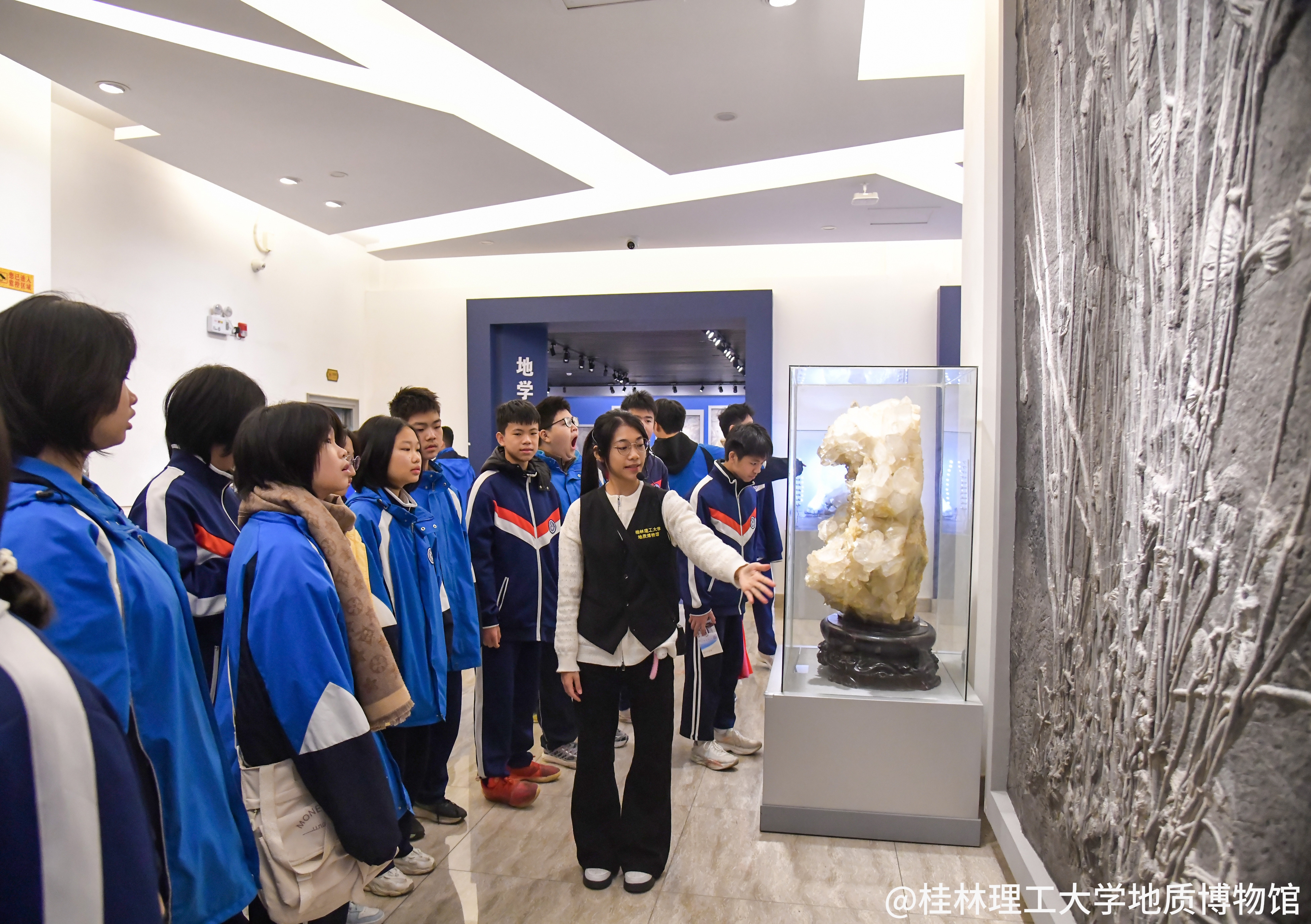 同学们驻足参观海百合