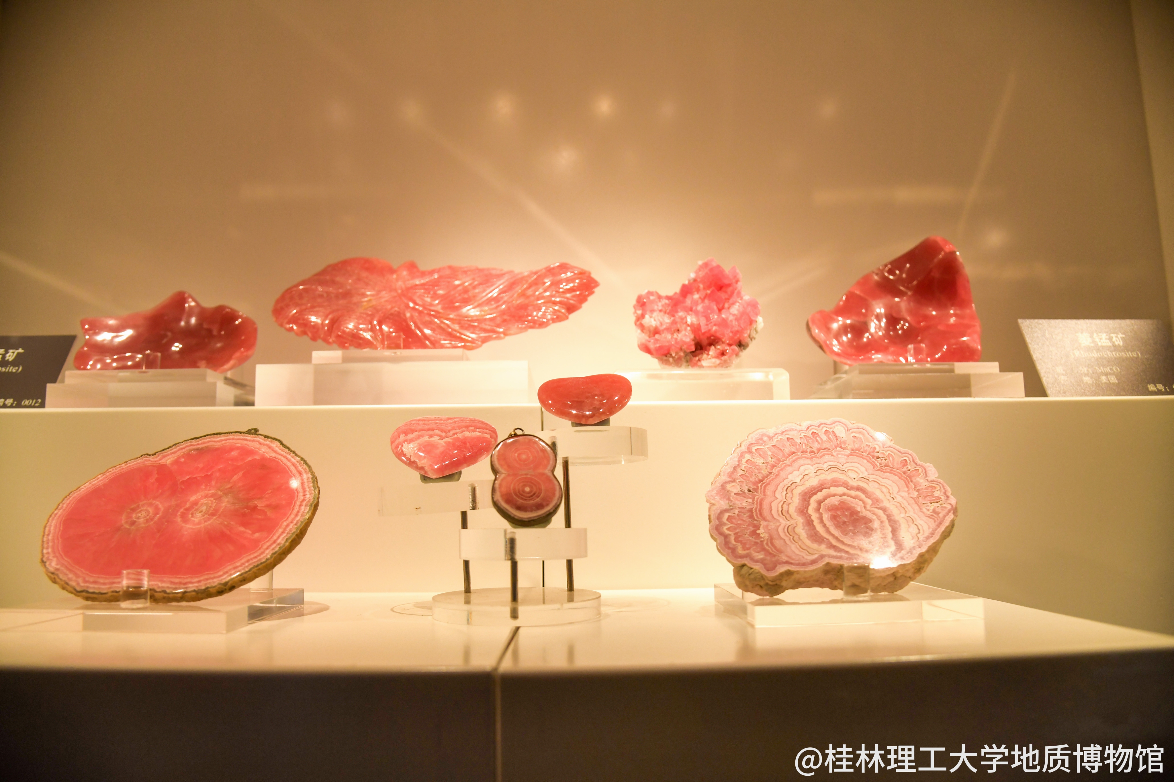 我馆内部分展品