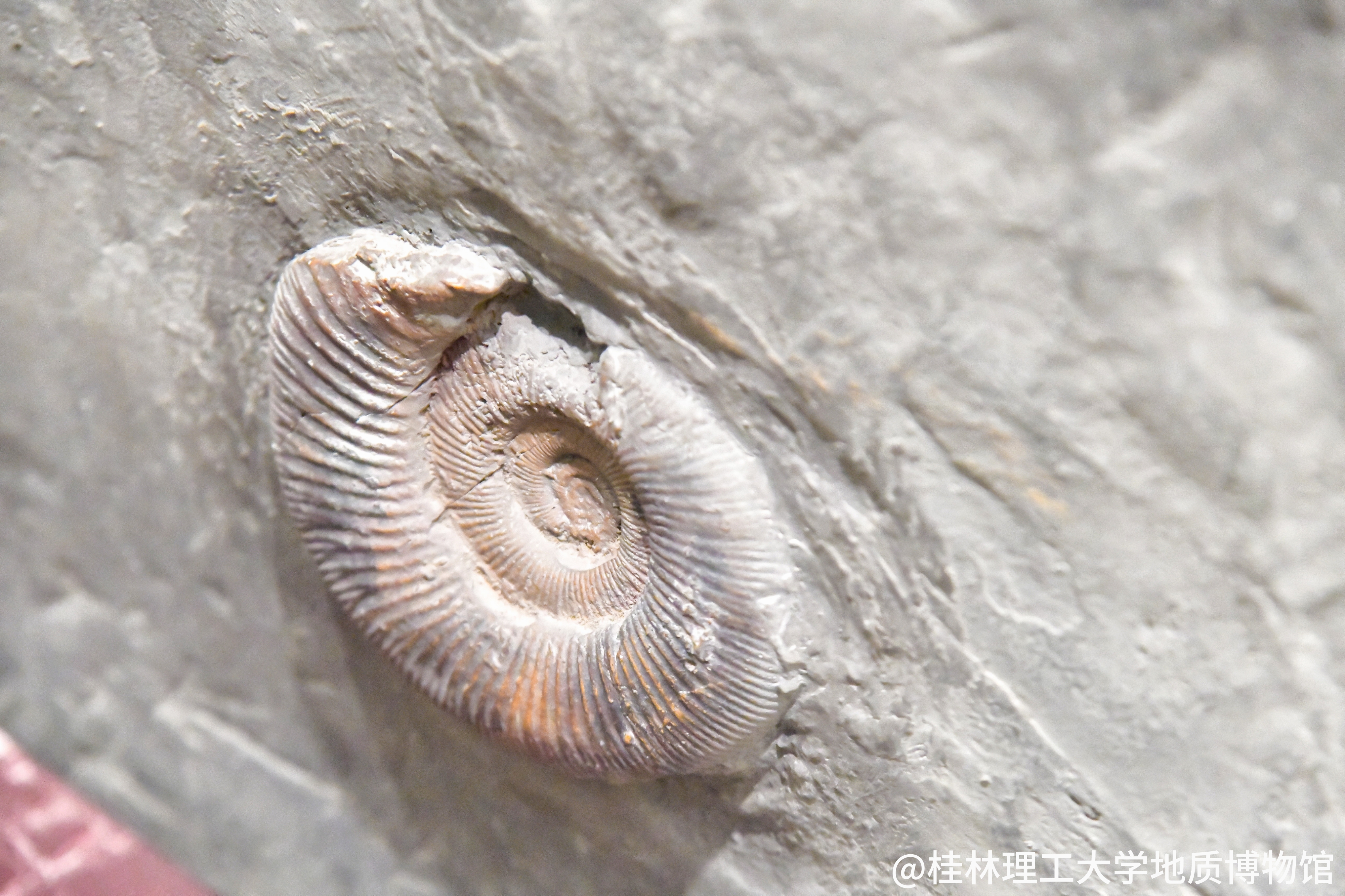 我馆内部分展品